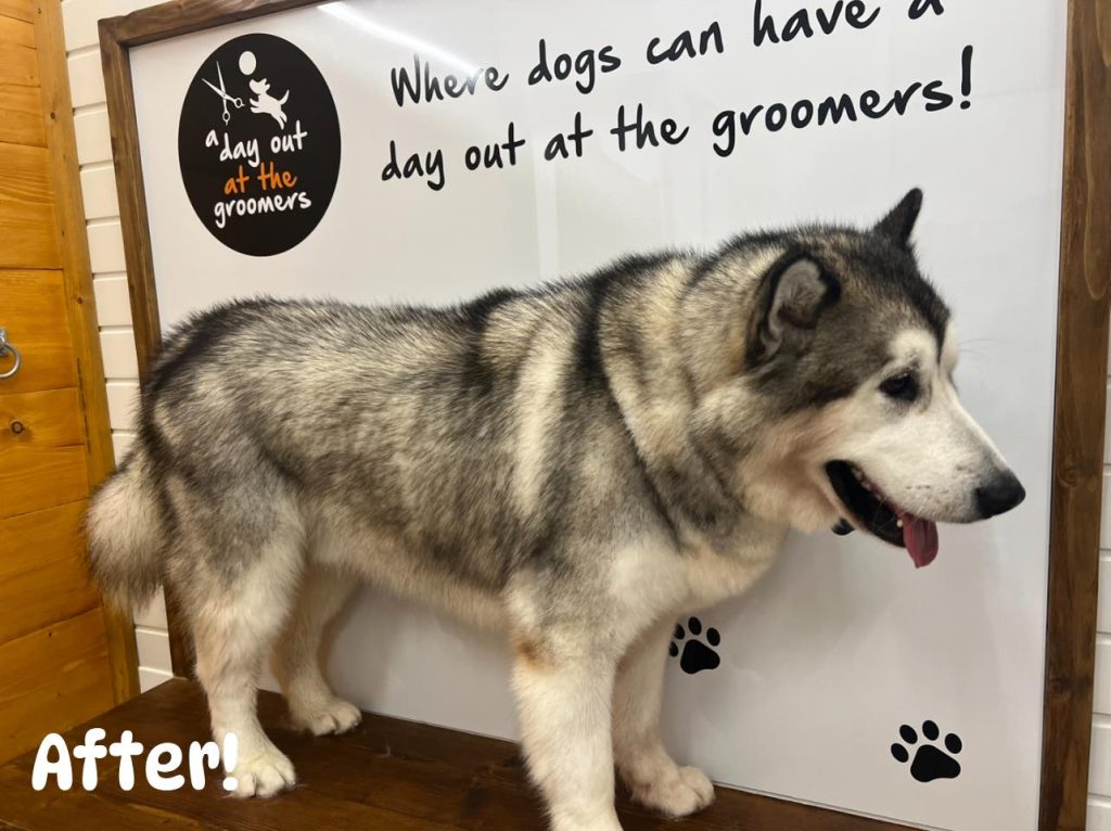 Grooming services