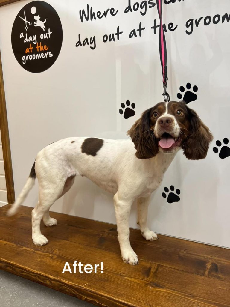 Grooming services