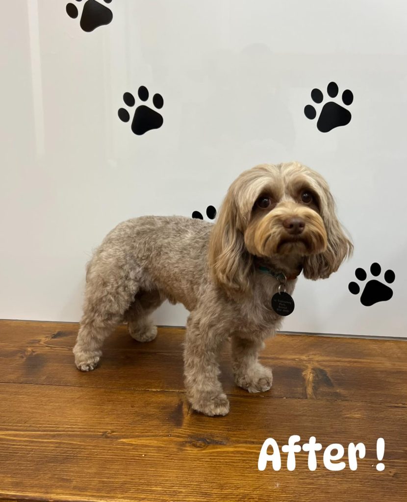Grooming services